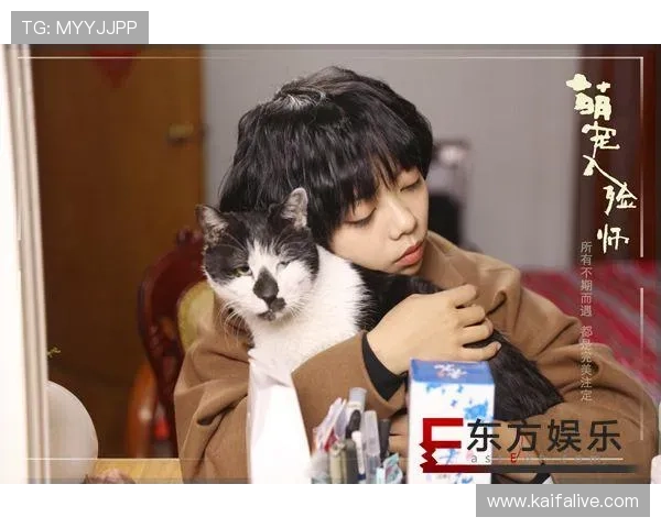 凯发网娱乐官网登录不了原因分析与快速解决方案推荐